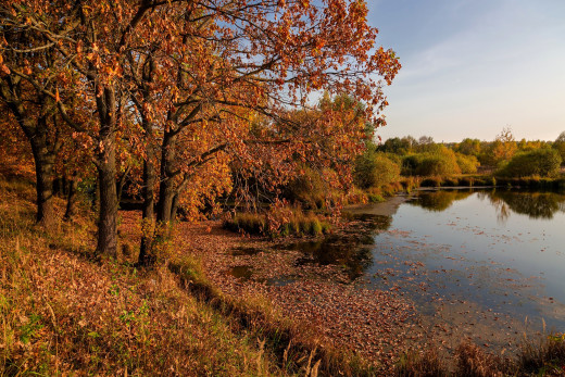 1752839 (a): :2340x1560